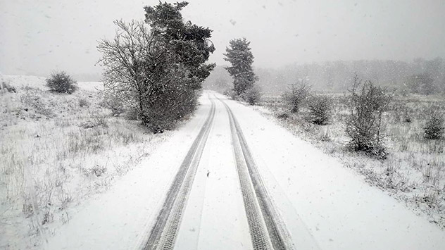Verschneiter Weg in Thüringen
