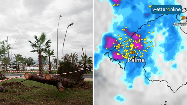 Umgestürzte Bäume in Palma, daneben WetterRadar mit Gewitterzellen.