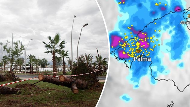 Umgestürzte Bäume in Palma, daneben WetterRadar mit Gewitterzellen. (c) dpa