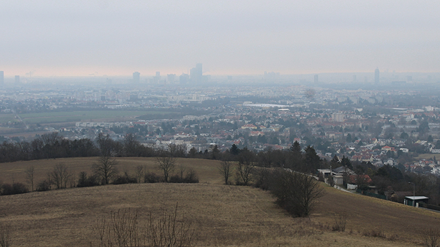 Das Webcambild zeigt Wien bei grauem Himmel.