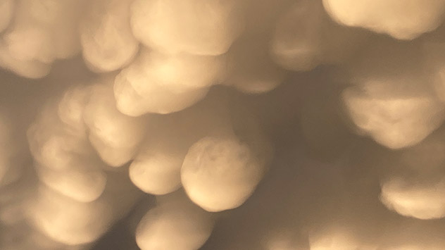 Dabei gibt es mancherorts wie hier in Gönnheim in Rheinland-Pfalz solche Mammatus-Wolken zu sehen. 