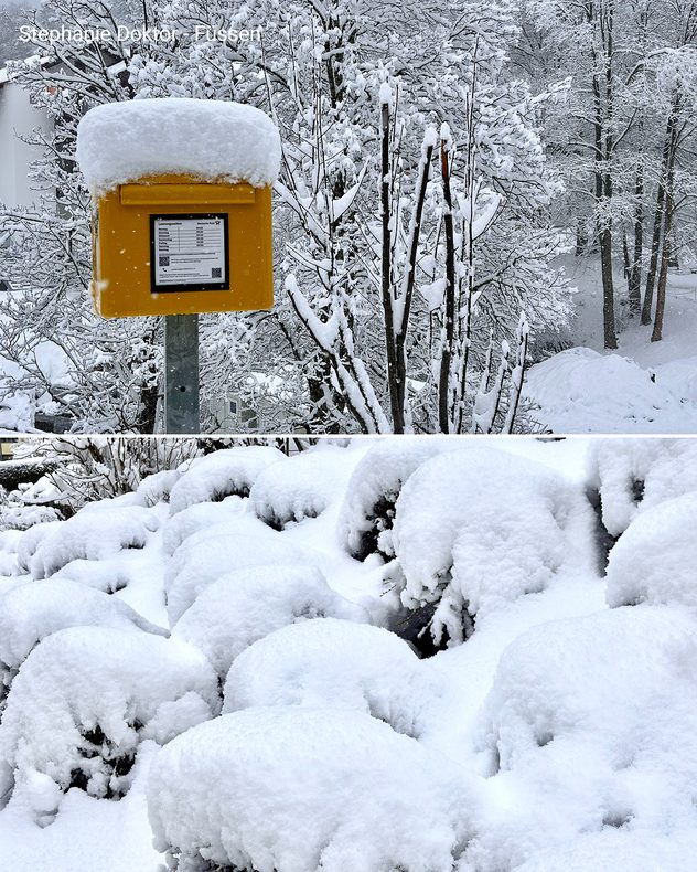 Zweiteiliges Bild: oben ein verschneiter Briefkasten und Bäume in Füssen. Unten dicke Schneedecke auf Sträuchern nach starkem Schneefall.