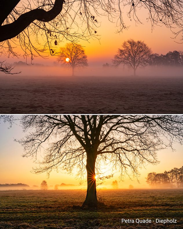 Zweiteiliges Bild mit Sonnenaufgang über einer nebligen Wiese und einzelnen Bäumen. Die Sonne scheint durch den Nebel und taucht die Landschaft in warmes Licht.