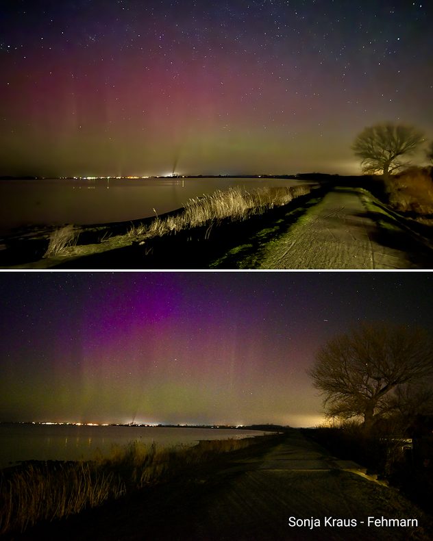 Nachthimmel über der Küste mit bunten Polarlichtern in Grün und Violett. Ein Weg und ein Baum führen entlang des Ufers unter klarem Sternenhimmel.
