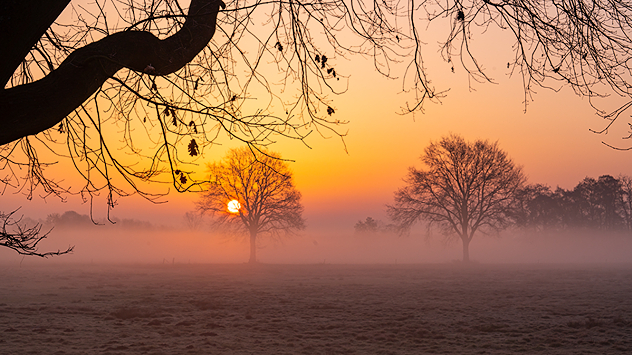 Die Sonne scheint durch den Nebel und taucht die Landschaft in warmes Licht.