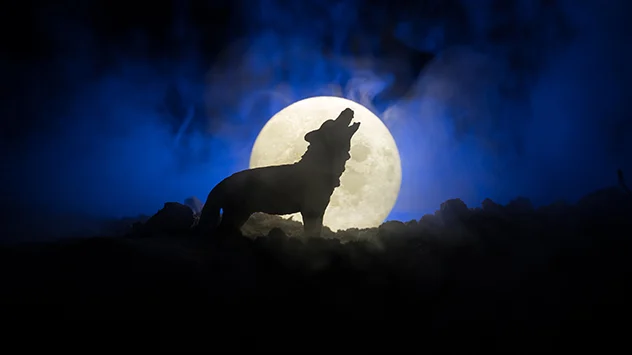 Wolf moon of 2024: First full moon - will you see it? – Weather News