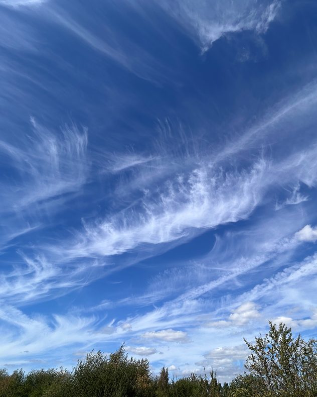 Delicate white cirrus clouds form sweeping, feather-like patterns across a vivid blue sky above green treetops.