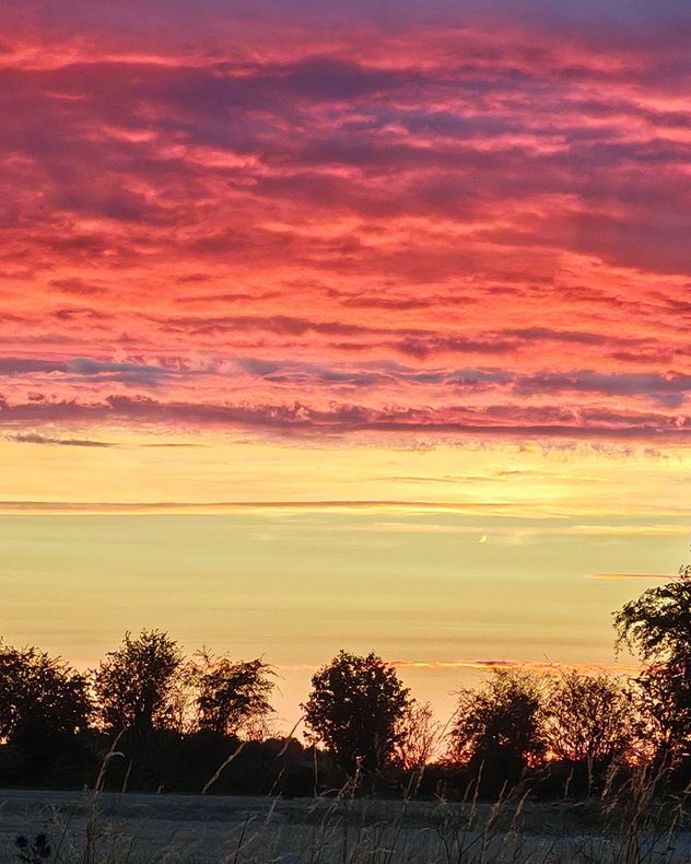 Layered clouds glow vivid pink, red and orange at sunset above silhouetted trees and grasses, fading to a pale golden sky near the horizon.