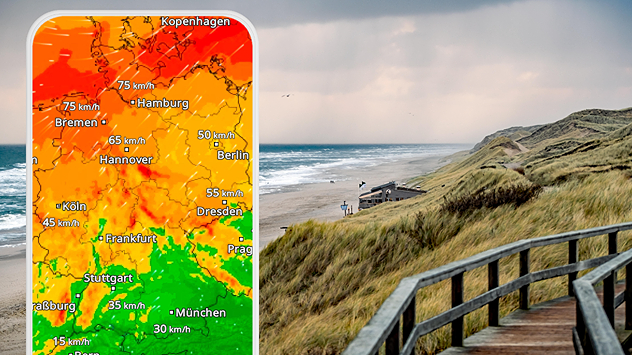 Auf dem Handy kannst du dir die Stärke des Windes im WindRadar anschauen.