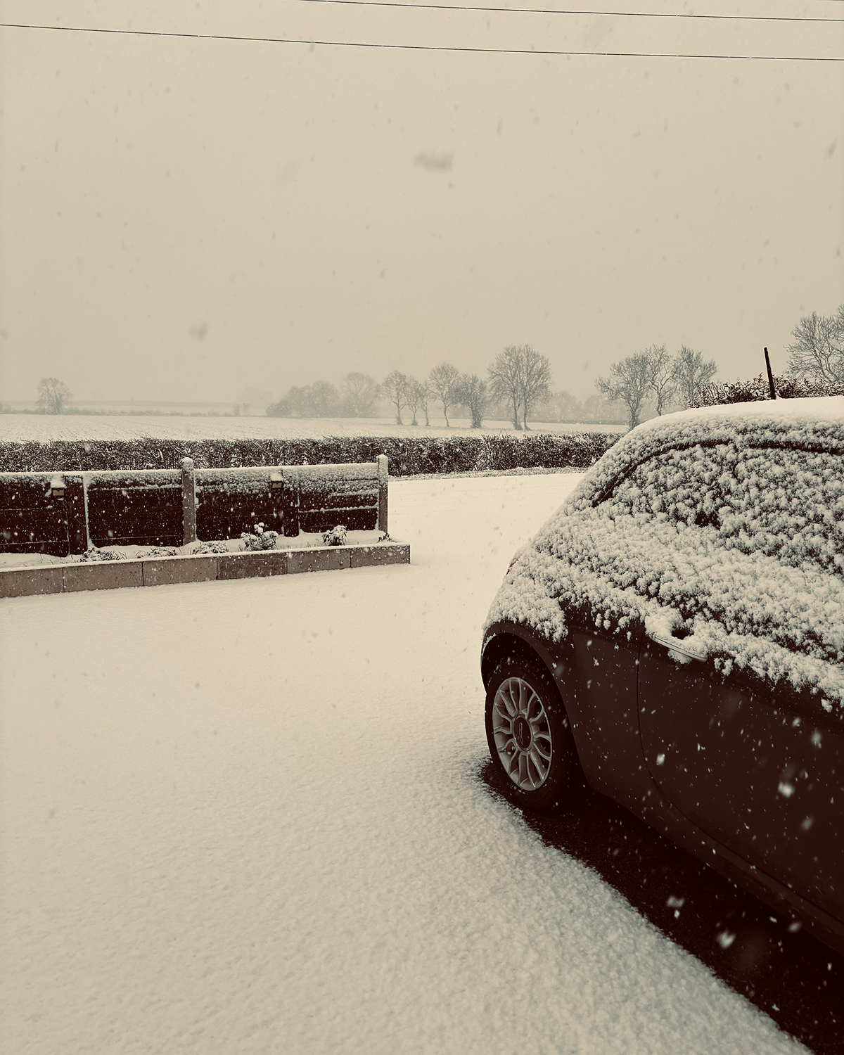 Snow falling steadily onto a parked car and driveway, with fresh snow covering the ground, hedges, and distant trees in a flat rural landscape under a pale overcast sky.