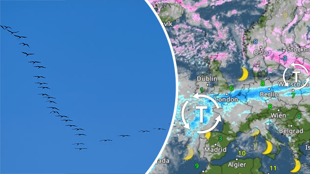 Kraniche in V-Formation - WetterRadar zeigt Tiefdruckgebiete