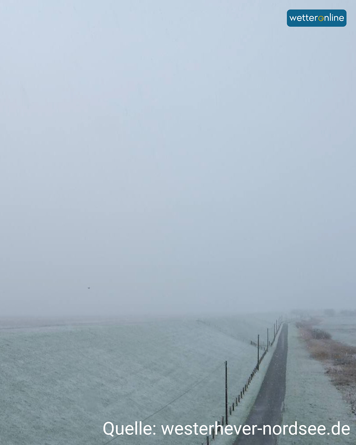 Schneefall in Westerhever am Deich