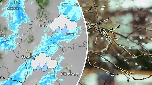 Split. Links eine Wetterkarte von Deutschland mit Regen und Temperaturen. Rechts Zweige mit Regentropfen.