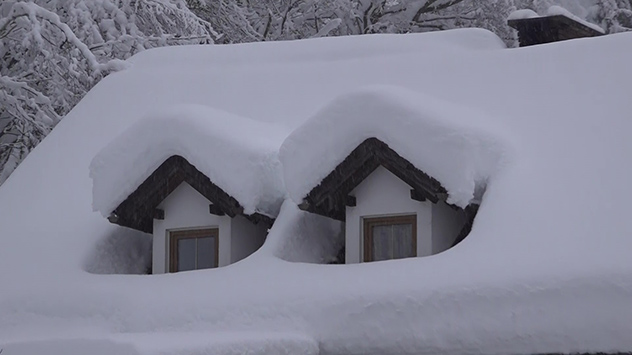 Was im ersten Moment schön aussieht, ist ein ernstes Problem.