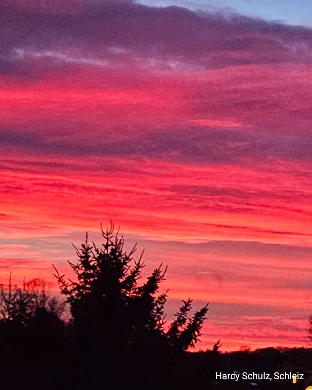 Strahlend roter Abendhimmel mit violetten Wolken über dunklen Baumsilhouetten.