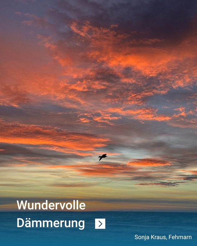 Farbig leuchtender Abendhimmel mit orange-roten Wolken und einem fliegenden Vogel über dem Meer.