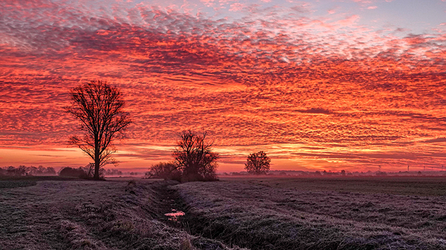 Roter Morgenhimmel über frostigen Feldern mit kahlen Bäumen. Ein schmaler Graben verläuft durch die winterliche Landschaft.