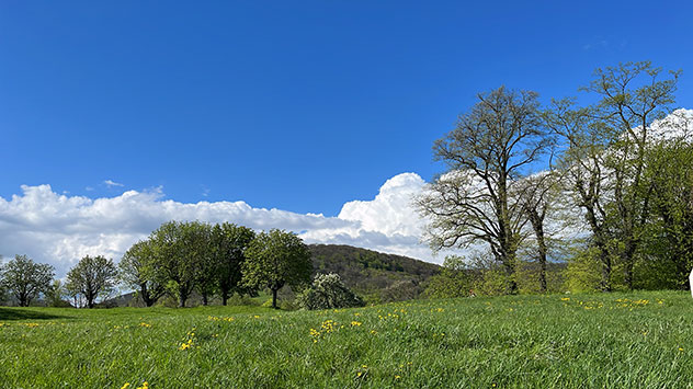 Auch das gehört zum April: Es gibt immer wieder einen blauen Himmel zubestauen.