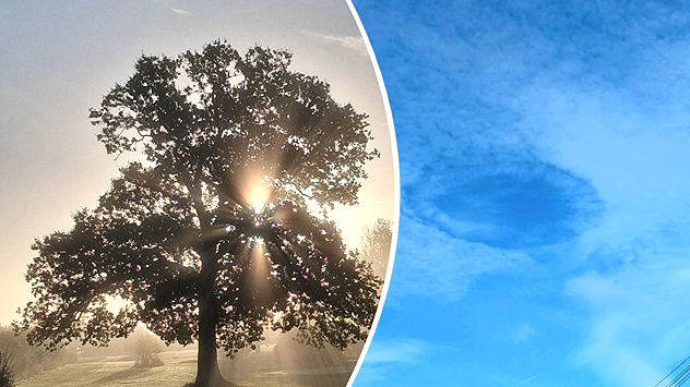 Split image showing golden sun rays shining through a tree in a misty field and a circular fallstreak hole in a blue sky with textured clouds.