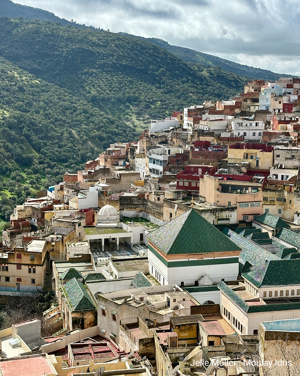Una ciudad situada en una ladera, con casas muy juntas, tejados verdes y una montaña boscosa al fondo.