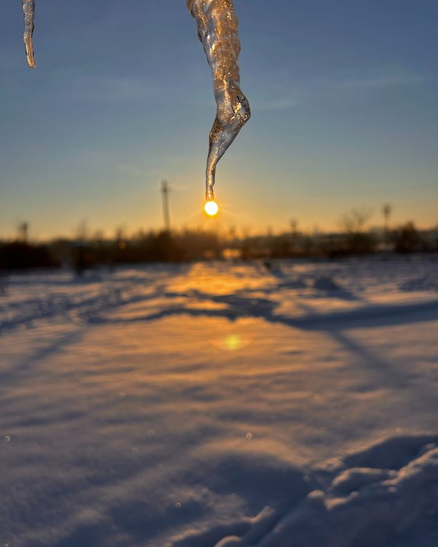 Close-up icicle hanging in the foreground, catching golden light as the sun sets behind it over a snow-covered field, with soft reflections on the snow and a clear sky.