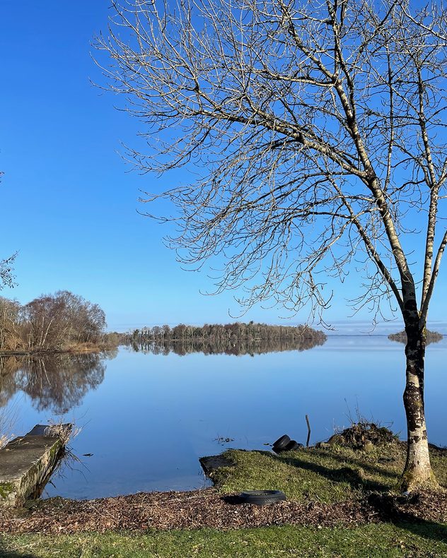 Still lake reflecting a clear blue sky, with bare tree branches in the foreground, grassy shoreline, and a small wooded island mirrored in the water.