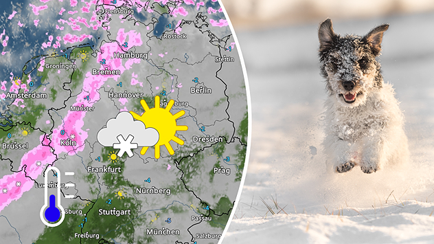 Links: WetterRadar vom 5. Januar mit Schnee im Westen, Sonne im Osten und Frost im Süden. Rechts: Hund tobt durch frischen Schnee – Winterfreude pur.