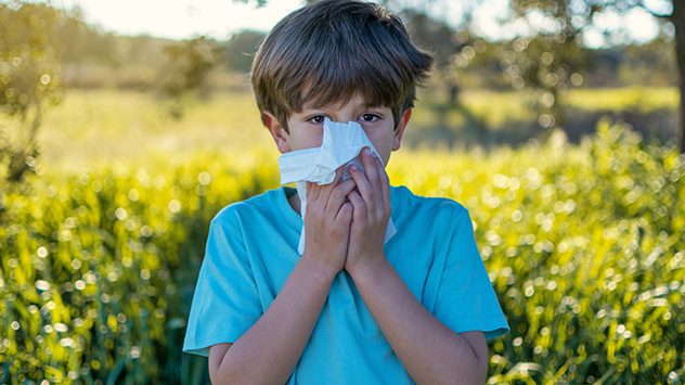 Junge mit blauem T-Shirt hÃ¤lt ein Taschentuch vor die Nase, steht in einer blÃ¼henden Wiese bei Sonnenschein â allergische Reaktion sichtbar. (c) Nanci Santos Iglesias/shutterstock.com