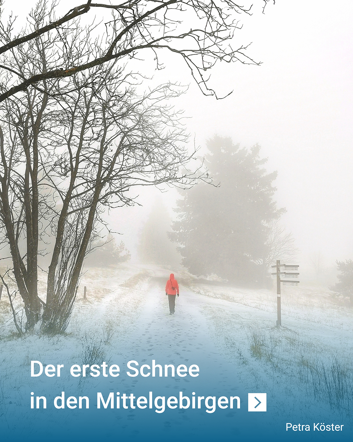 Schnee auf dem Kahlen Asten - © Petra Köster Schnee auf dem Kahlen Asten
