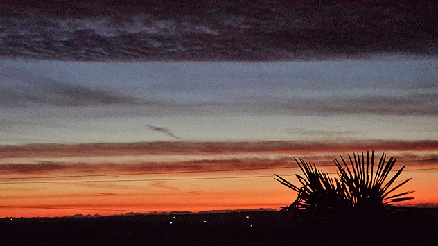 Deep orange and red sunset over Templemartin, County Cork, with layered clouds and a dark palm silhouette in the foreground.