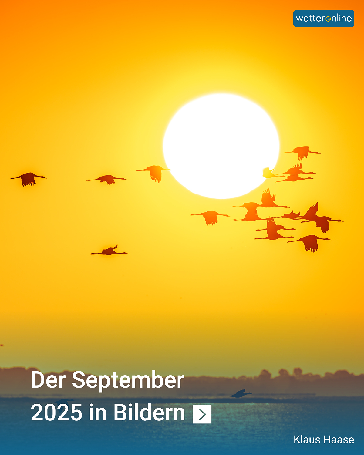 Sonnenuntergang mit Vögeln.