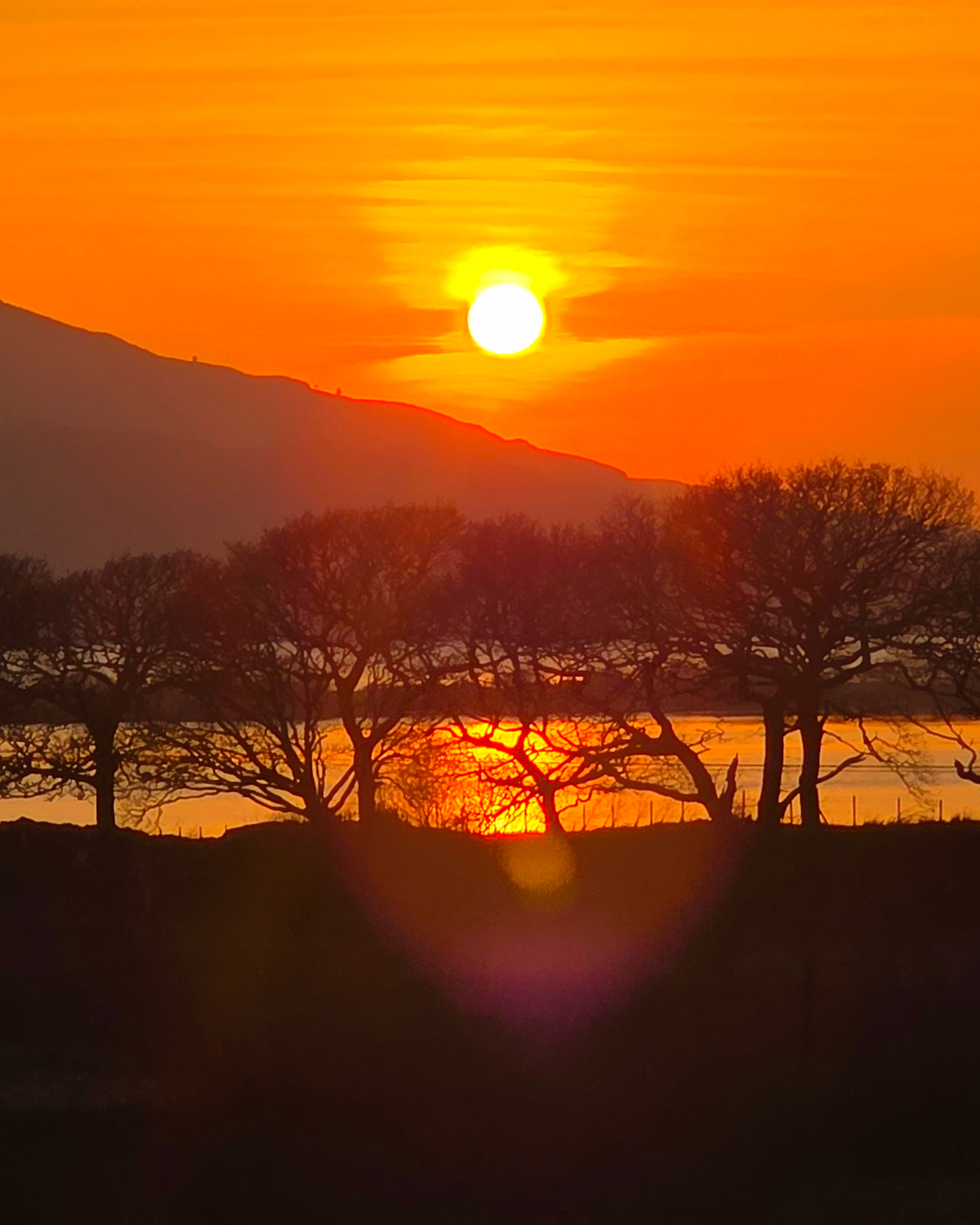 Bright golden sun setting over a lake, with silhouetted trees in the foreground and a hillside in the background, reflecting warm orange light on the water.