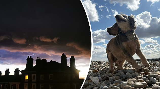 Split image showing dark storm clouds over silhouetted rooftops at sunset on the left, and a small dog standing on a bright pebble beach under blue skies on the right.