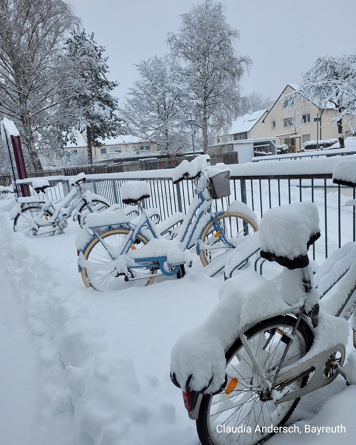 In Bayreuth präsentiert sich die Landschaft komplett weiß