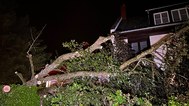 In Lindau am Bodensee liegt ein Baum neben einem Wohngebäude.