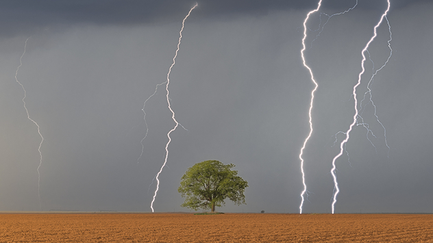 Blitze hinter einem alleinstehenden Baum 