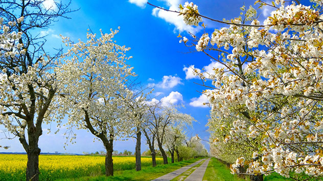 1ef41b66-309b-6216-ba13-cbaa4ee11e70 Teaser April 2022