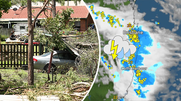 Ein Auto befindet sich unter einem umgestürzten Baum.
