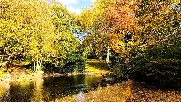 Leuchtende Herbstfarben