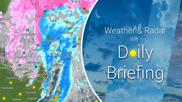 Daily briefing for Dec. 19