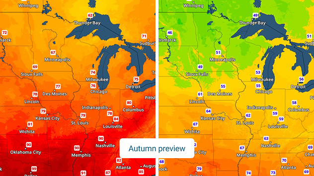 Autumn preview