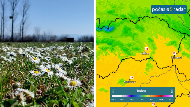 Rozkvitnuté sedmokrásky na lúke a mapa Slovenska s predpoveďou maximálnych teplôt okolo 11 až 13 °C.