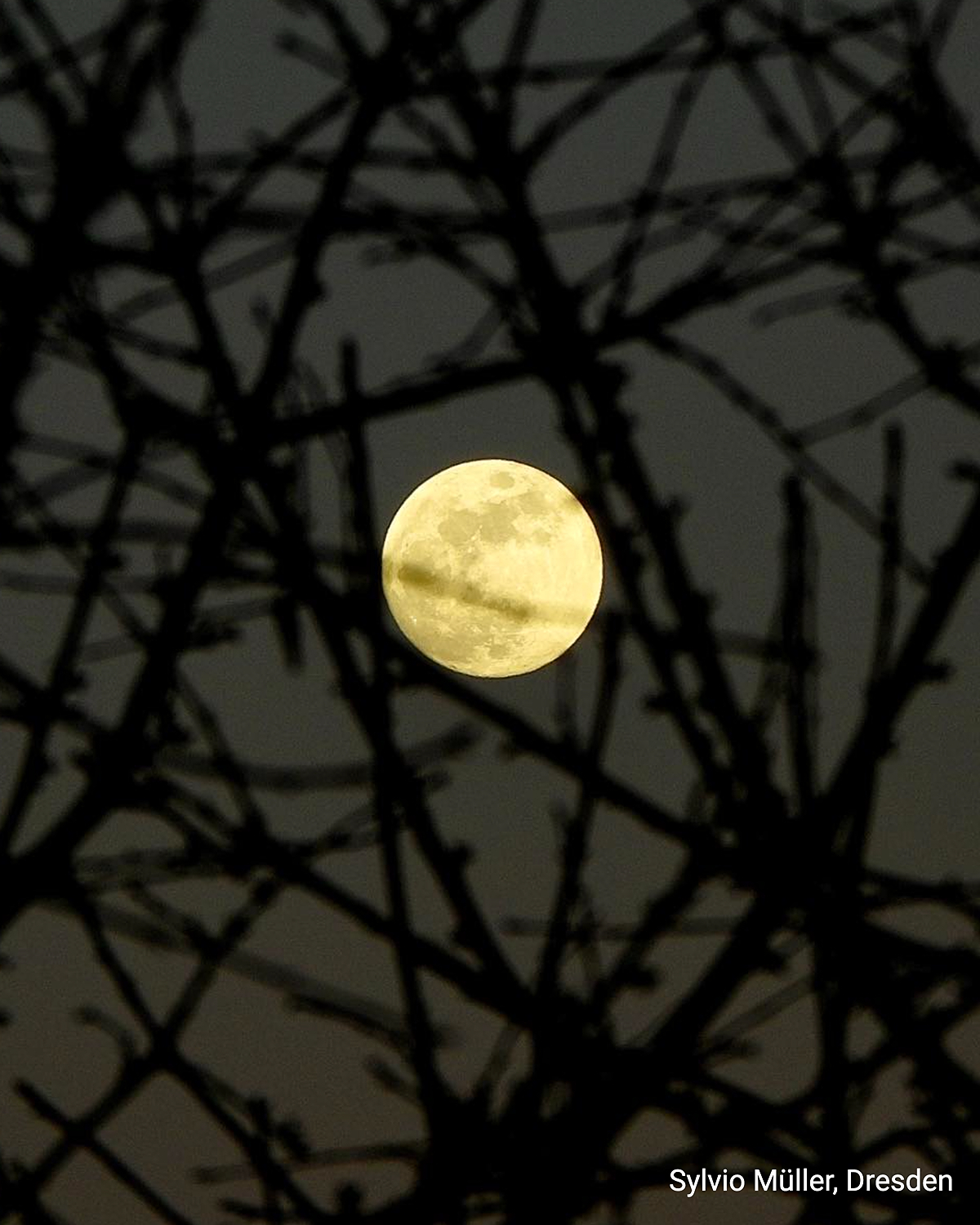 Der Frühlings-Vollmond im März wird auch "Lenzmond" genannt. In Teilen Nordamerikas heißt er "Wurmmond".