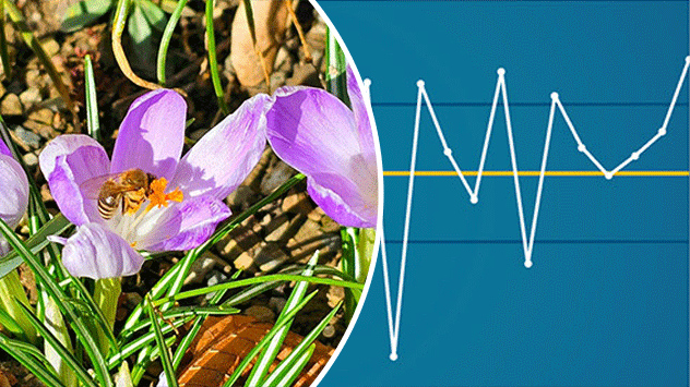 1ef44336-7aac-6592-b5cc-3da5980c0fdd Rekordmärz