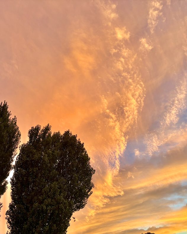 Sweeping textured clouds glow orange and gold at sunset above dark leafy trees, with streaks of blue-gray sky visible between layers.