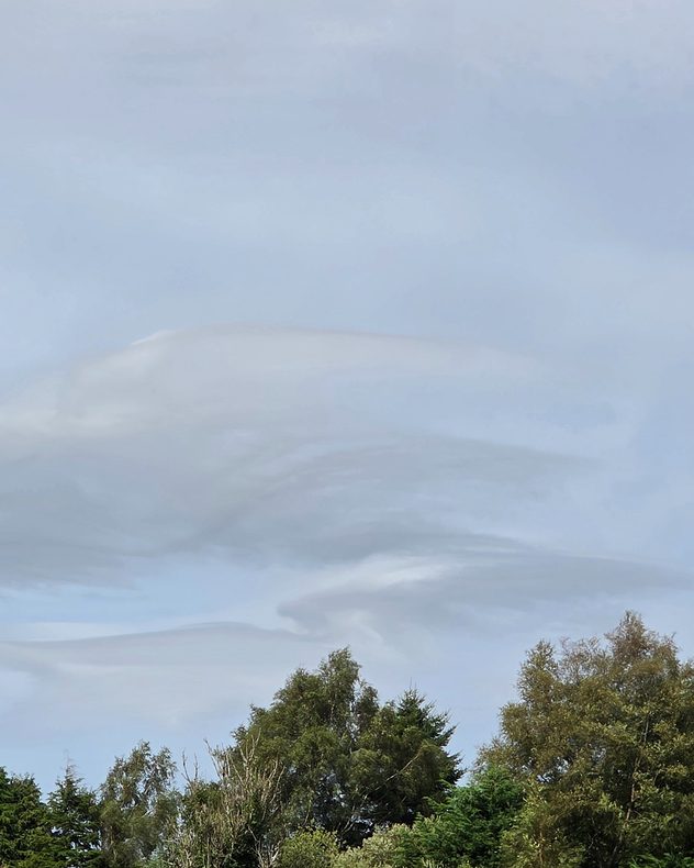 Smooth layered lenticular clouds form pale wave-like shapes in a hazy blue-gray sky above a line of green trees.