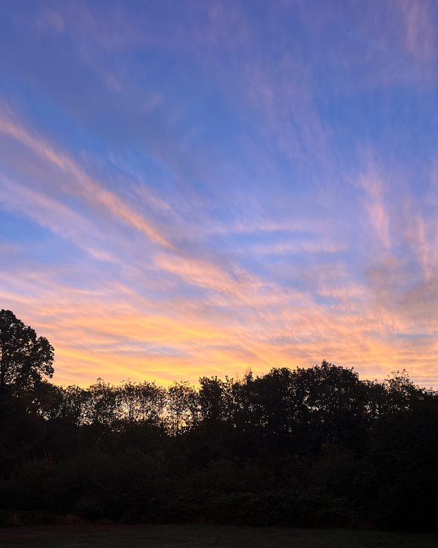 Wispy pink and peach clouds stretch across a blue-violet evening sky above a dark silhouetted treeline.