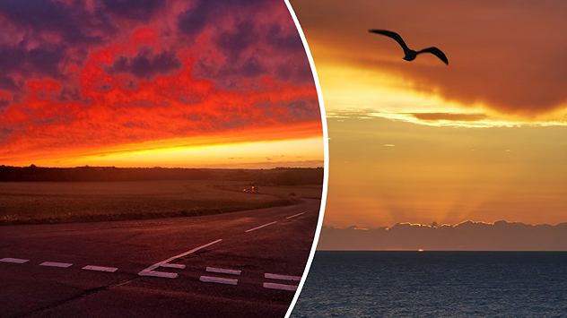 Split image showing a fiery red-orange sunset over a rural road and fields beside a golden sea sunset with a silhouetted seabird in flight.
