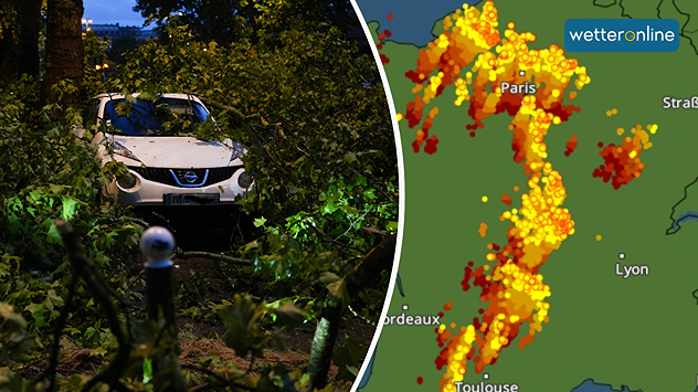 © dpa Baum begräbt Auto in Paris - Blitzradar zeigt Summe der Blitze