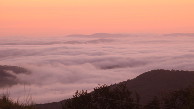 Auf dem Gläserberg in der Thüringer Rhön verfärbt sich der Nebel durch die Dämmerung im Tal. 